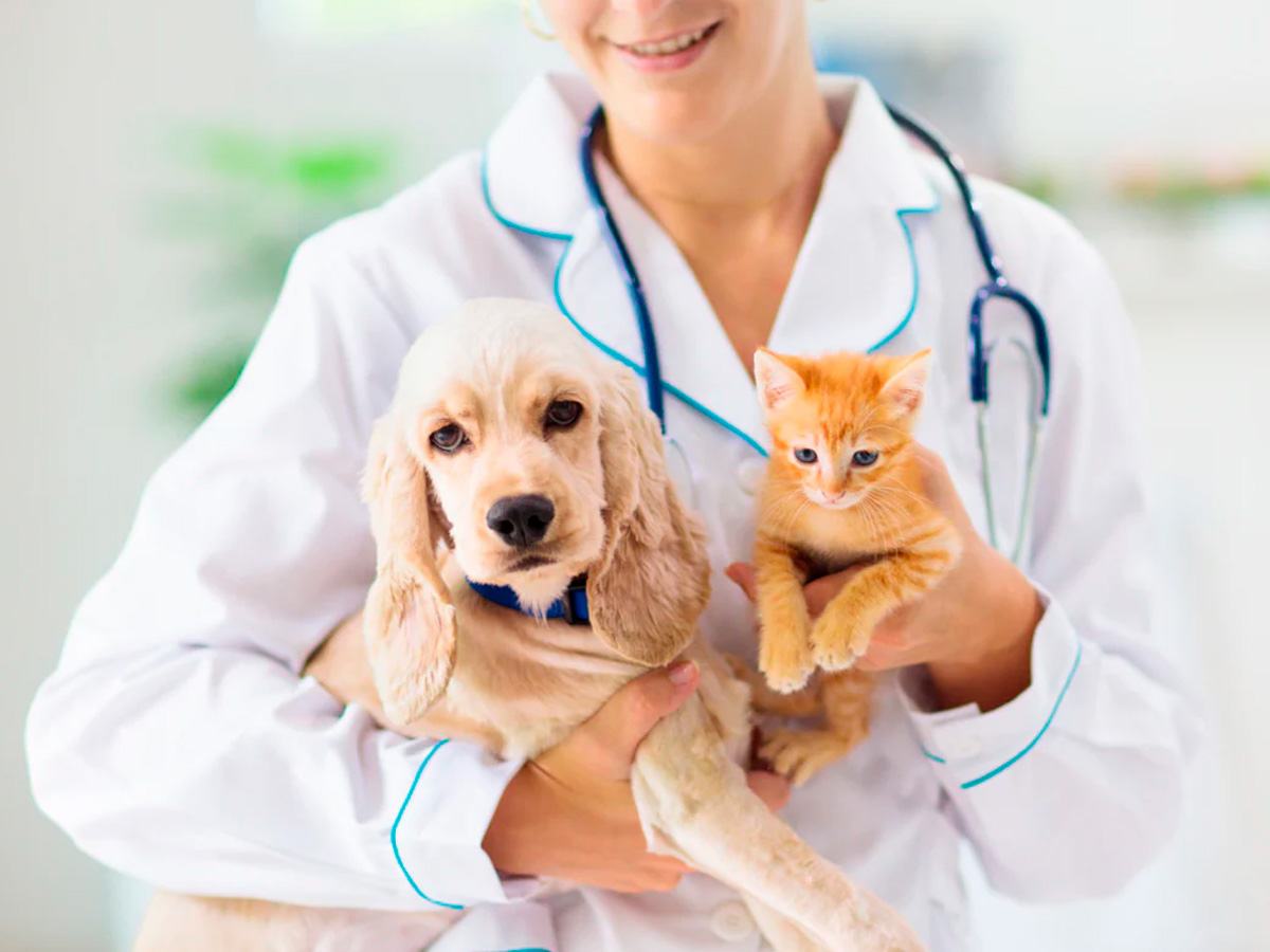 Hospital Veterinário